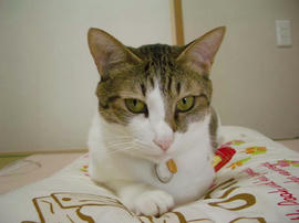 IMGP11950.jpg