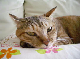 IMGP11951.jpg