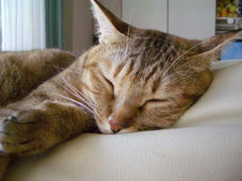 IMGP12007.jpg