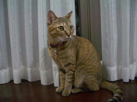 IMGP12023.jpg