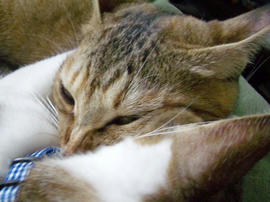 IMGP12043.jpg