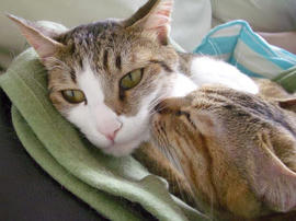 IMGP12044.jpg