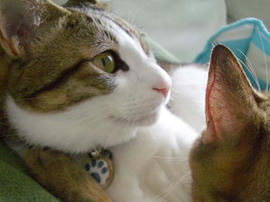 IMGP12045.jpg