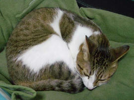 IMGP12050.jpg