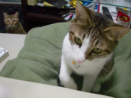 IMGP12064.jpg