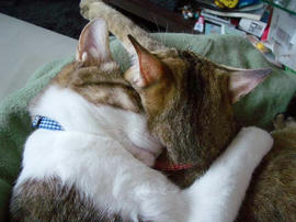 IMGP12069.jpg