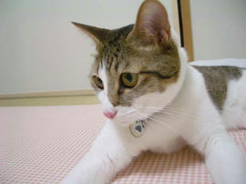 IMGP12101.jpg