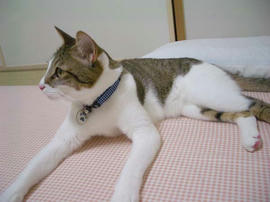IMGP12102.jpg