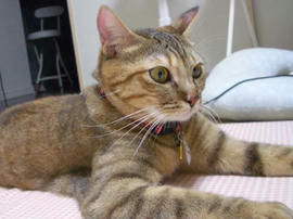IMGP12104.jpg