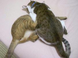 IMGP12105.jpg