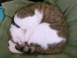 IMGP12108.jpg