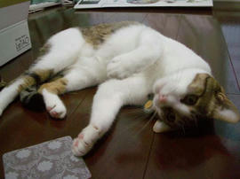 IMGP12121.jpg