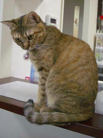 IMGP12129.jpg