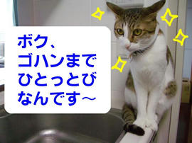 IMGP12137.jpg