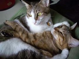 IMGP12132.jpg