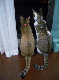 IMGP12143.jpg