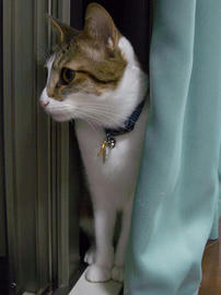 IMGP12144.jpg