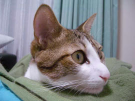 IMGP12183.jpg
