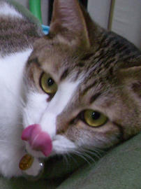 IMGP12189.jpg