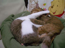 IMGP12195.jpg