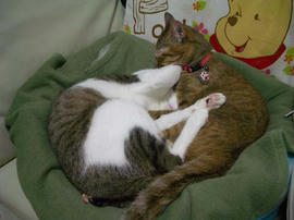 IMGP12198.jpg