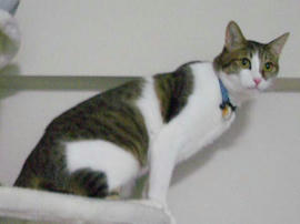 IMGP12201.jpg