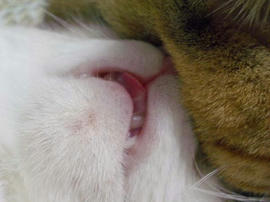 IMGP12221.jpg