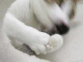 IMGP12261.jpg