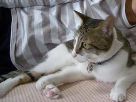 IMGP12267.jpg