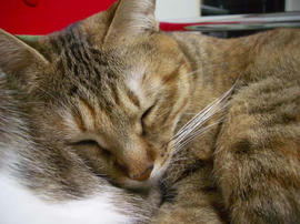 IMGP12285.jpg