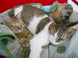 IMGP12306.jpg