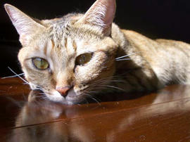 IMGP12332.jpg