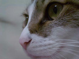 IMGP12361.jpg