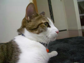 IMGP12391.jpg