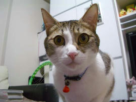 IMGP12409.jpg