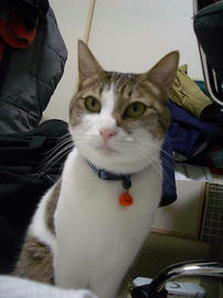 IMGP12418.jpg