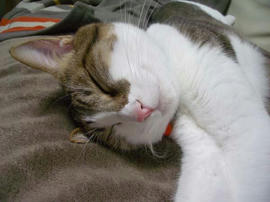 IMGP12432.jpg