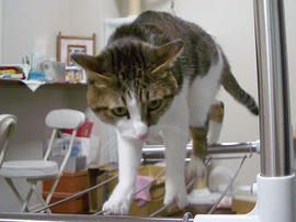 IMGP12457.jpg