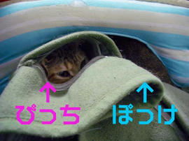 IMGP12554.jpg
