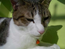 IMGP12558.jpg
