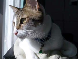 IMGP12579.jpg