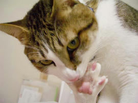 IMGP12611.jpg