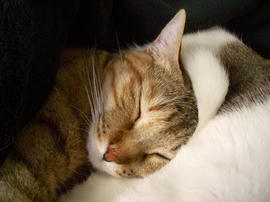 IMGP12634.jpg