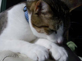 IMGP12652.jpg