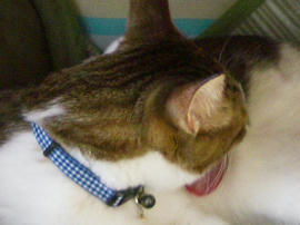 IMGP12722.jpg