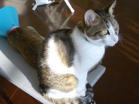 IMGP12727.jpg
