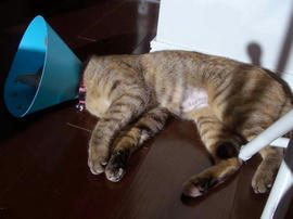 IMGP12729.jpg
