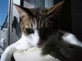 IMGP12785.jpg
