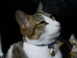 IMGP12839.jpg