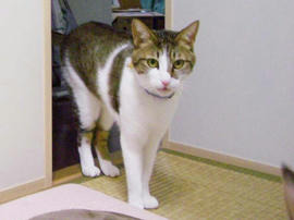 IMGP12850.jpg